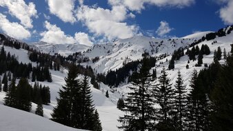 Verschneite Winterlandschaft | © Skischule Edelweiß